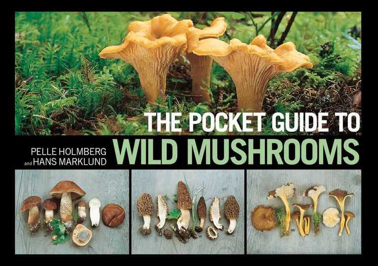 Pelle Holmberg, Hans Marklund - Pocket Guide to Wild Mushrooms, E-bok