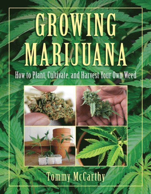Tommy McCarthy - Growing Marijuana, E-bok. Tillgänglighet: Lägg i varukorg