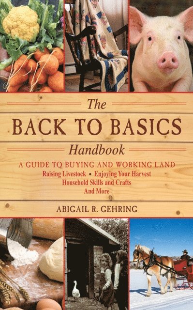 Abigail Gehring - Back to Basics Handbook, E-bok