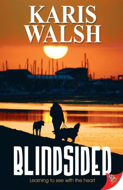 Karis Walsh - Blindsided, E-bok