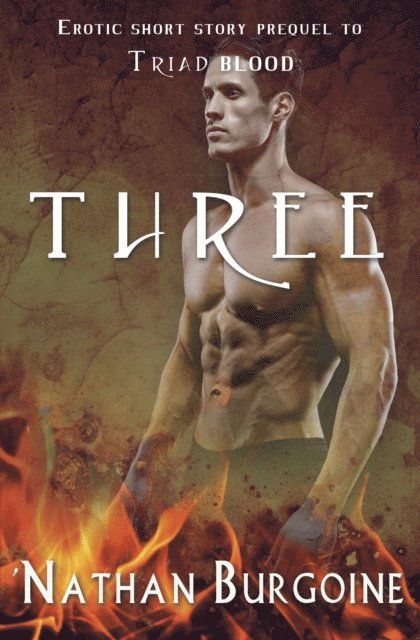 'Nathan Burgoine - Three, E-bok. Tillgänglighet: Lägg i varukorg