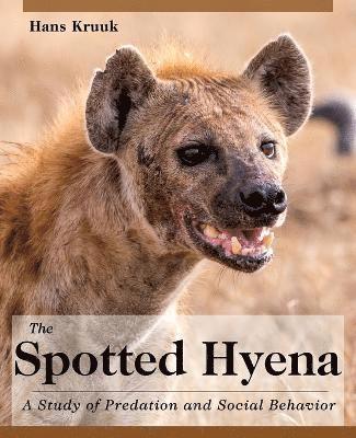 Spotted Hyena av Hans Kruuk