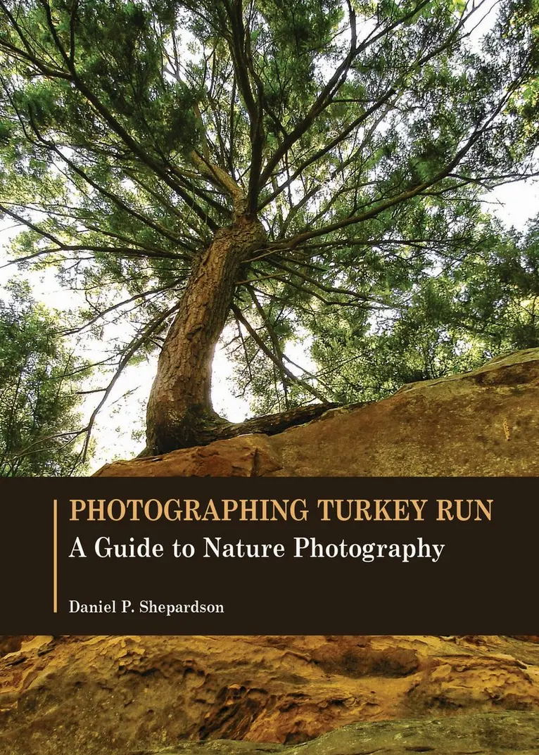 Daniel P. Shepardson - Photographing Turkey Run, Häftad. Tillgänglighet: Lägg i varukorg