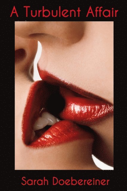 Sarah Doebereiner - Turbulent Affair, E-bok