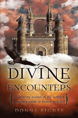 Donna Rigney - Divine Encounters, Häftad