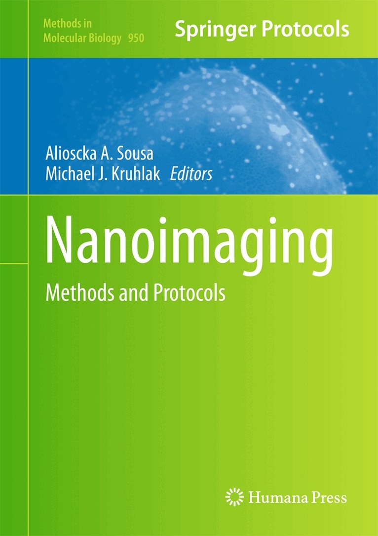 Alioscka A. Sousa, Michael J. Kruhlak - Nanoimaging, Inbunden