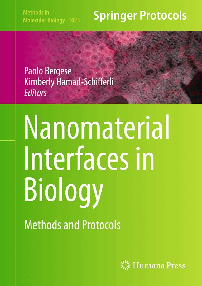 Paolo Bergese, Kimberly Hamad-Schifferli - Nanomaterial Interfaces in Biology, Inbunden