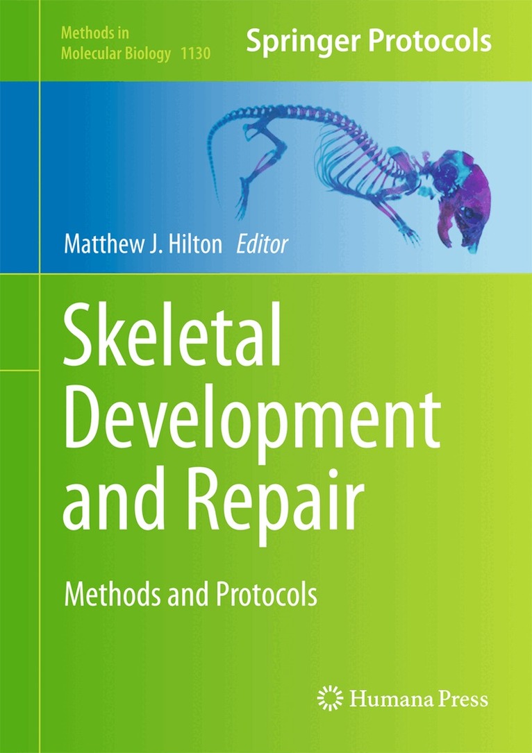 Matthew J. Hilton - Skeletal Development and Repair, Inbunden. Tillgänglighet: Lägg i varukorg