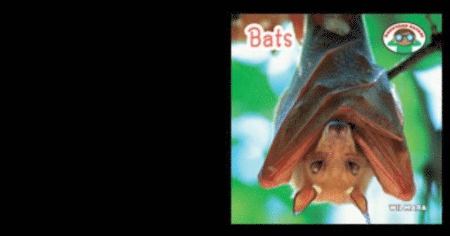 Bats
