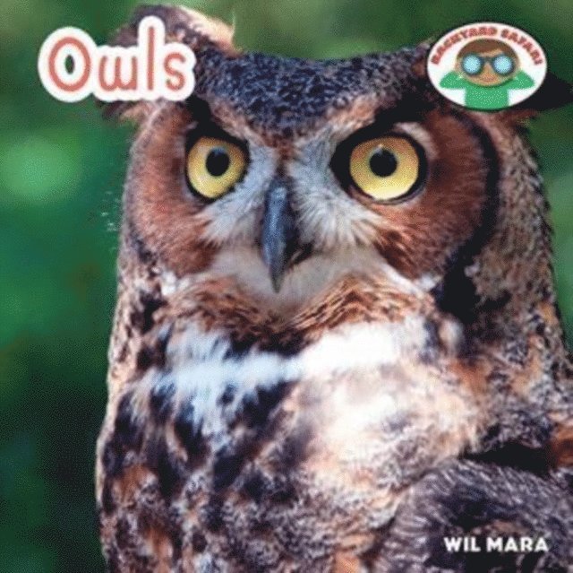 Owls