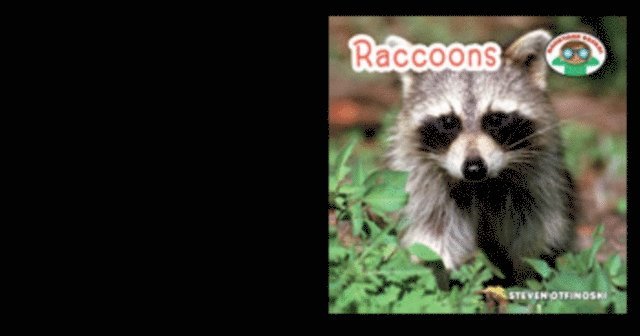 Steven Otfinoski - Raccoons, E-bok