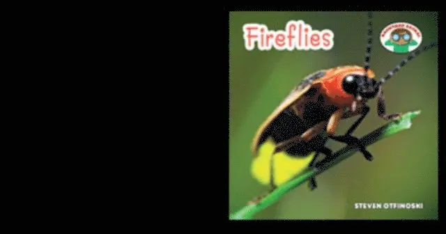 Steven Otfinoski - Fireflies, E-bok. Tillgänglighet: Lägg i varukorg