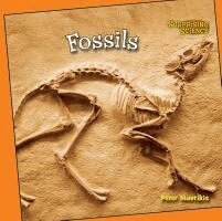 Peter Mavrikis - Fossils, Inbunden