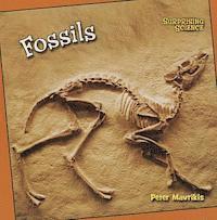 Peter Mavrikis - Fossils, Häftad. Tillgänglighet: Tillfälligt slut