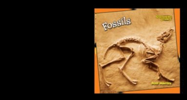 Peter Mavrikis - Fossils, E-bok