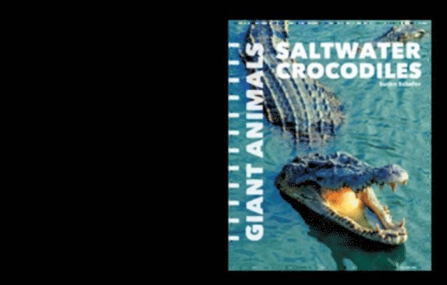 Susan Schafer - Saltwater Crocodiles, E-bok