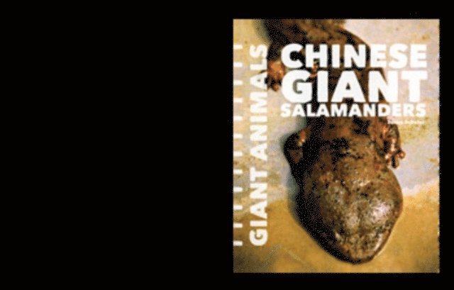 Susan Schafer - Chinese Giant Salamanders, E-bok