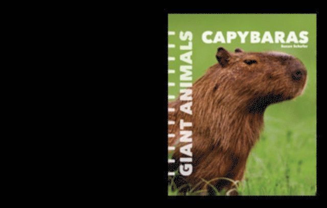 Susan Schafer - Capybaras, E-bok