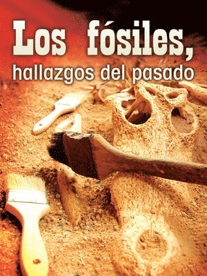 Tom Greve - Los fósiles, hallazgos del pasado, Häftad