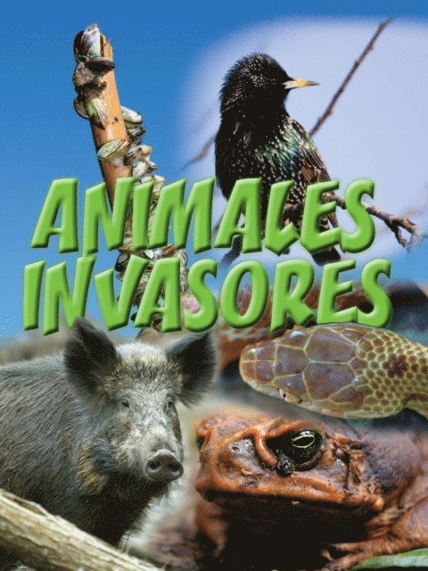 Amanda Doering Tourville - Animales invasores, E-bok
