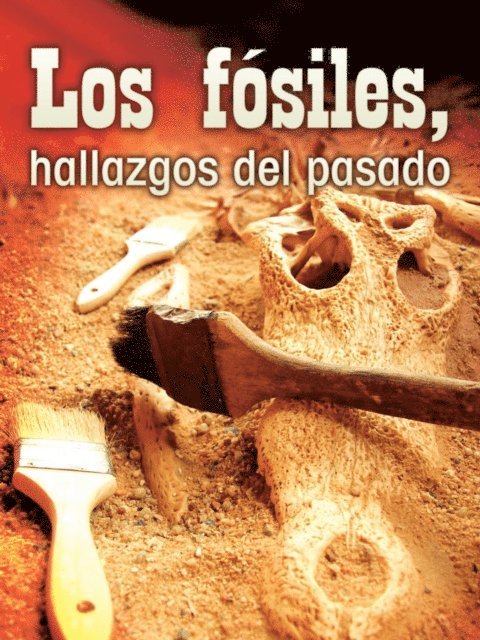 Tom Greve - Los fosiles, hallazgos del pasado, E-bok