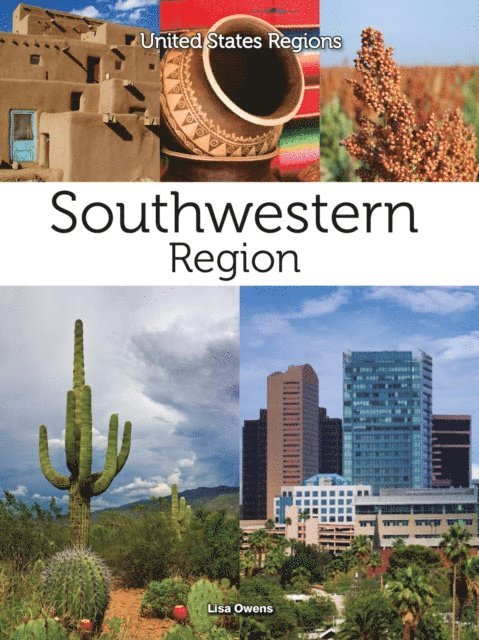 Lisa Owens - Southwestern Region, E-bok