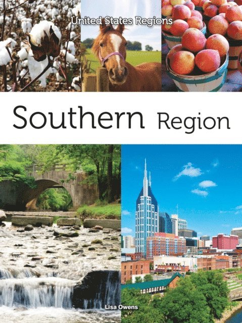 Lisa Owens - Southern Region, E-bok