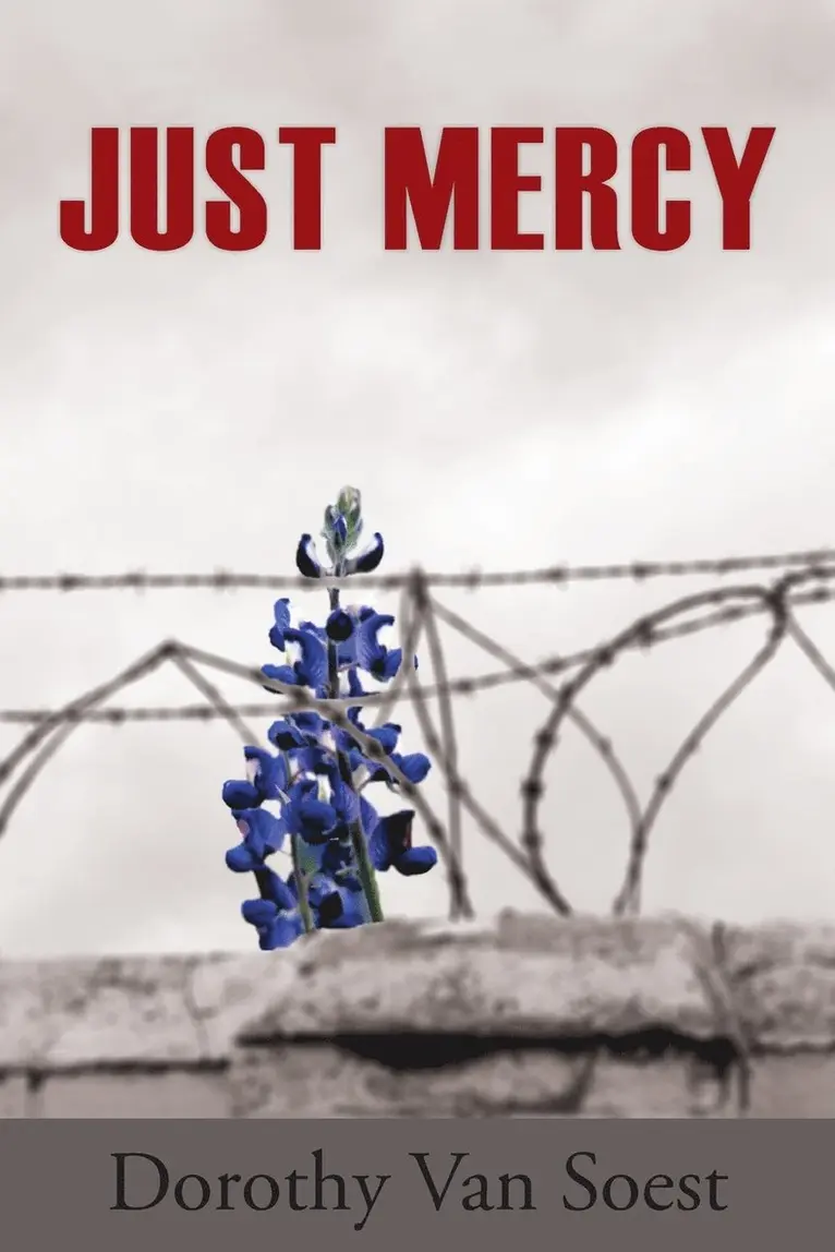 Dorothy Van Soest - Just Mercy, Häftad. Tillgänglighet: Lägg i varukorg