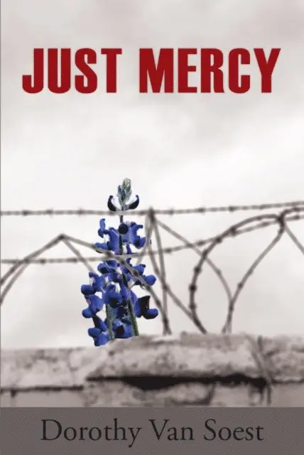 Dorothy Van Soest - Just Mercy, E-bok. Tillgänglighet: Lägg i varukorg