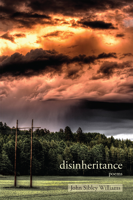John Sibley Williams - Disinheritance, E-bok