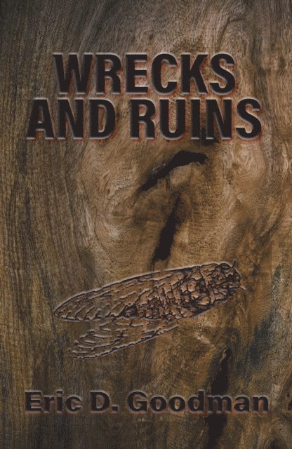 Eric D. Goodman - Wrecks & Ruins, E-bok. Tillgänglighet: Lägg i varukorg
