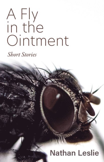 Nathan Leslie - Fly in the Ointment, E-bok