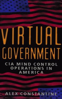 Virtual Government