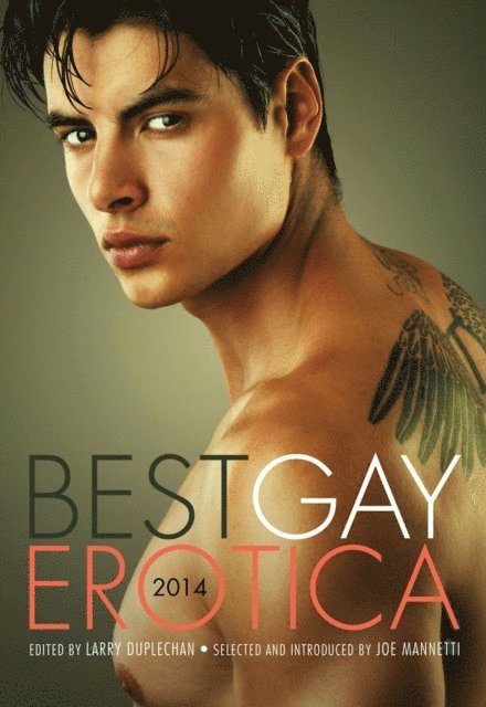 Larry Duplechan - Best Gay Erotica 2014, E-bok