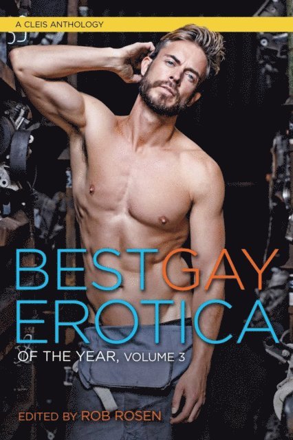 Rob Rosen - Best Gay Erotica of the Year, Volume 3, E-bok