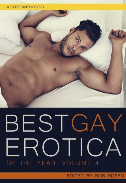 Rob Rosen - Best Gay Erotica of the Year, Volume 4, E-bok