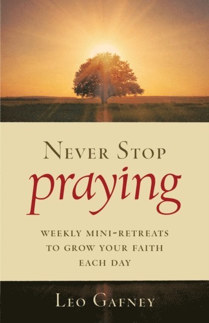 Leo Gafney - Never Stop Praying, E-bok