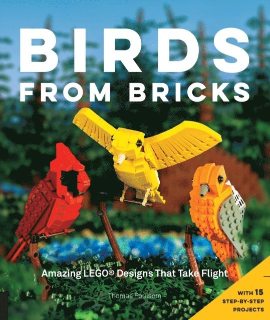 Thomas Poulsom - Birds from Bricks, E-bok