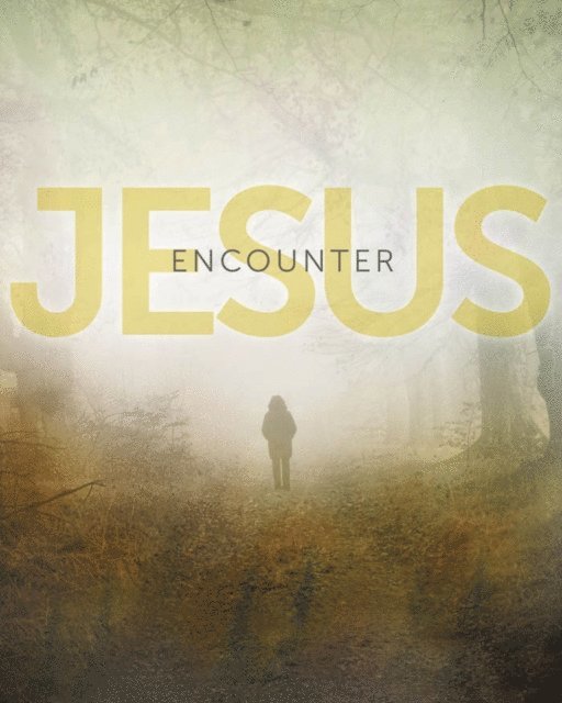 Carolyn Moore - Encounter Jesus, E-bok