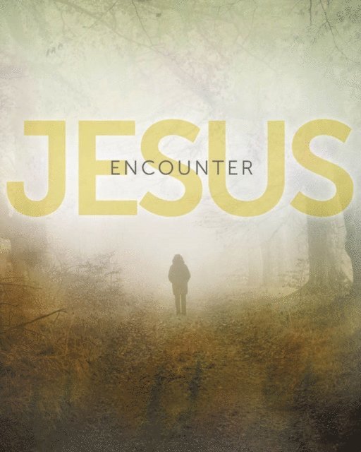 Carolyn Moore - Encounter Jesus, E-bok