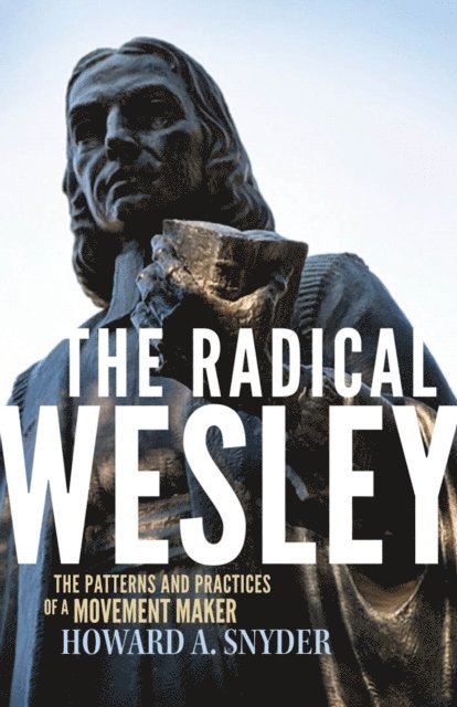 Howard A Snyder - Radical Wesley, E-bok
