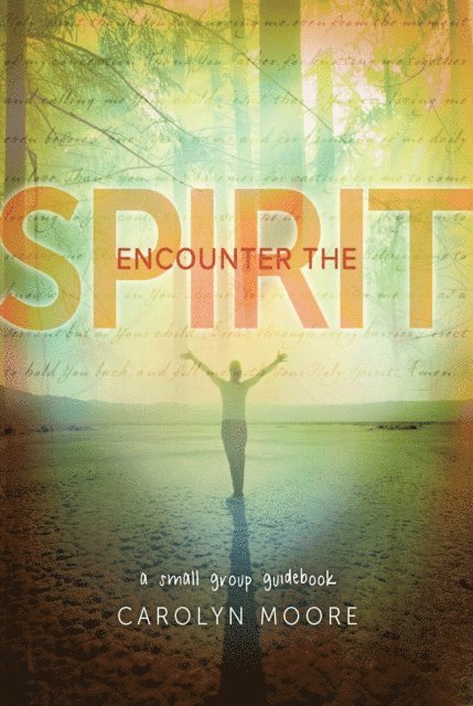 Carolyn Moore - Encounter the Spirit, E-bok
