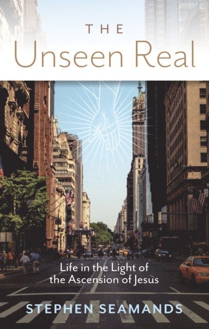 Stephen Seamands - Unseen Real, E-bok