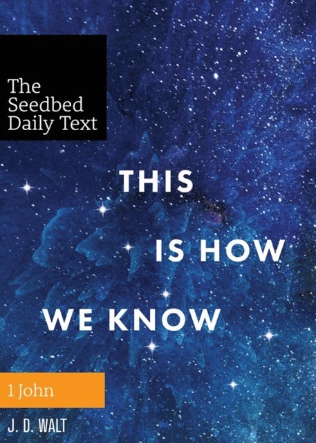 J. D. Walt - This Is How We Know, E-bok