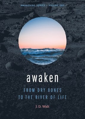 John David Walt - Awaken, Häftad