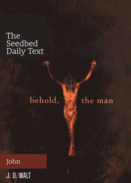 John David Walt - Behold, the Man, E-bok