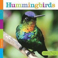 Quinn M. Arnold - Hummingbirds, Häftad