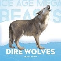Sara Gilbert - Dire Wolves, Häftad. Tillgänglighet: Tillfälligt slut