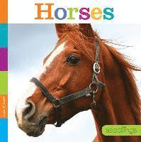 Quinn M. Arnold - Seedlings: Horses, Häftad