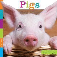 Quinn M. Arnold - Seedlings: Pigs, Häftad